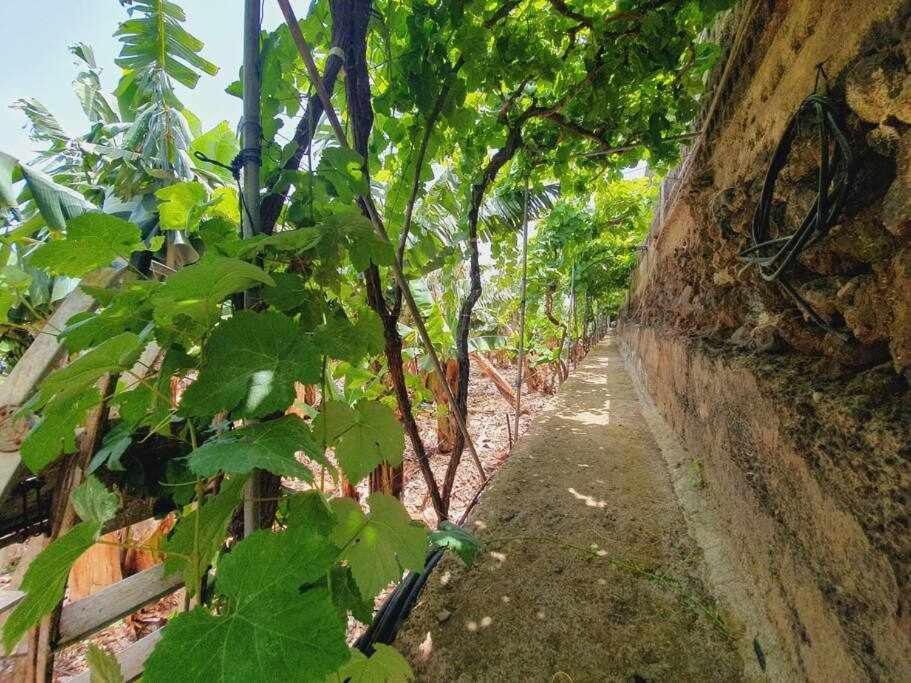 Finca Interian Los Silos Bagian luar foto